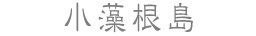 小藻根島