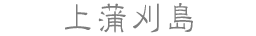 上蒲刈島