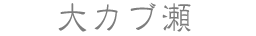 大カブ瀬