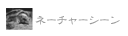 ネーチャーシーン